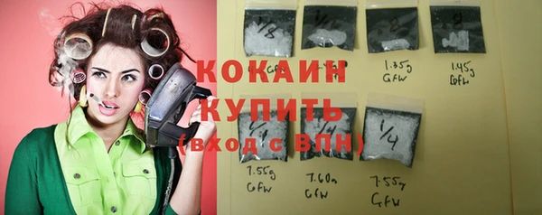 соль ск Дмитров