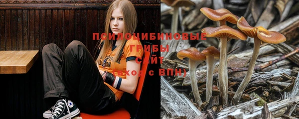 кокаин премиум Дмитриев