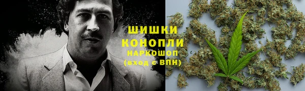 соль ск Дмитров